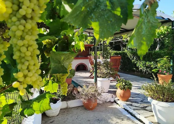 The Pergola Cottage...feel The Local Vibes!