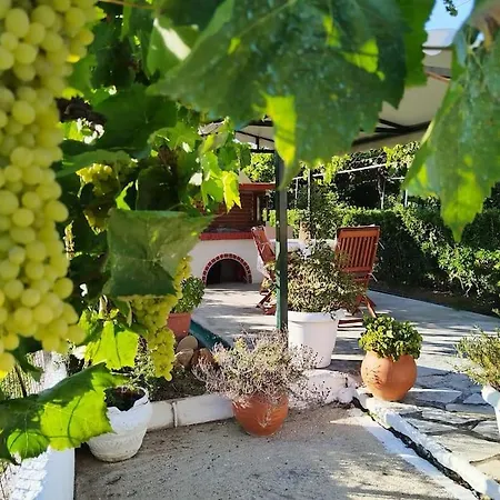 The Pergola Cottage...feel The Local Vibes!