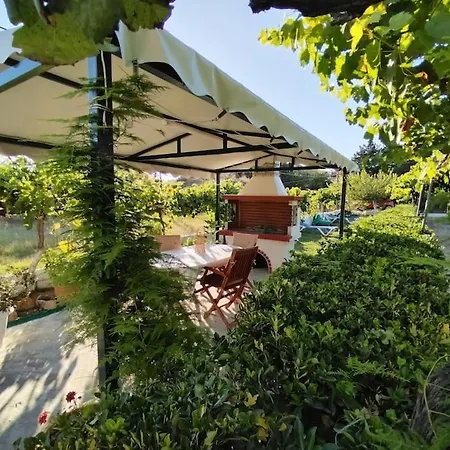 The Pergola Cottage...feel The Local Vibes! *