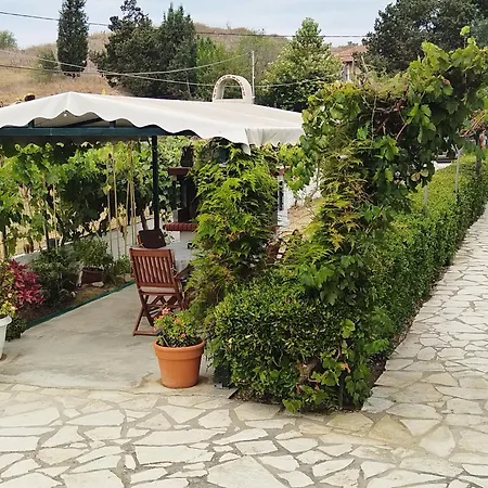 The Pergola Cottage...feel The Local Vibes!